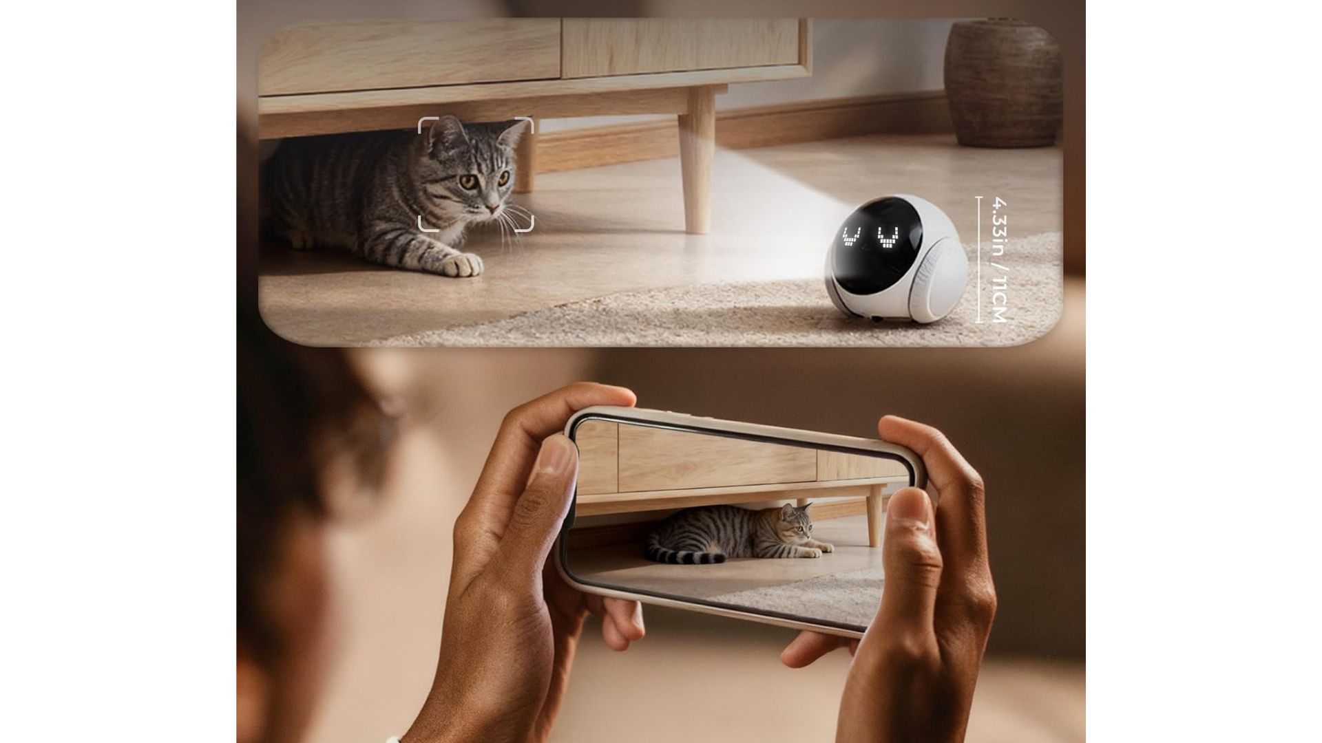 wifi pet kamera