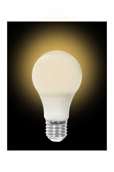 ACK - ACK AA13-01220 12W E27 3000K Günışığı Led A60 Ampul ACK AA13-01220 12W E27 3000K Günışığı Led A60 Ampul - Thumbnail