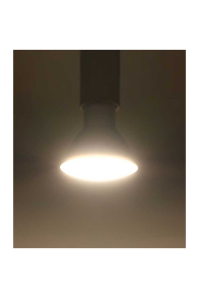 ACK - ACK AA24-00750 7W Gu10 3000K Günışığı Difüzörlü SMD Led Ampul ACK AA24-00750 7W Gu10 3000K Günışığı Difüzörlü SMD Led Ampul - Thumbnail