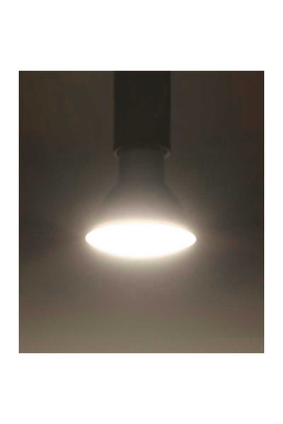 ACK - ACK AA24-00751 7W Gu10 4000K Ilık Beyaz Difüzörlü Smd Led Ampul ACK AA24-00751 7W Gu10 4000K Ilık Beyaz Difüzörlü Smd Led Ampul - Thumbnail