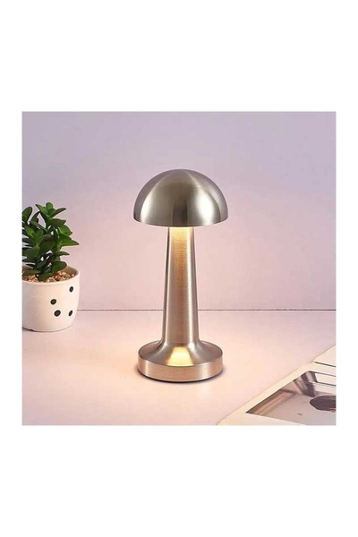 ACK AF11-00293 2W Satin Gövde Ledli Dokunmatik Dimli Masa Lambası - Thumbnail
