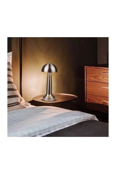 ACK AF11-00293 2W Satin Gövde Ledli Dokunmatik Dimli Masa Lambası - Thumbnail
