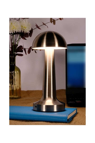 ACK AF11-00293 2W Satin Gövde Ledli Dokunmatik Dimli Masa Lambası - Thumbnail