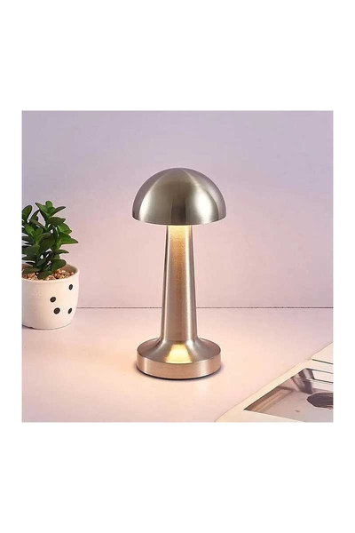 ACK AF11-00295 2W Krom Gövde Ledli Dokunmatik Dimli Masa Lambası - Thumbnail