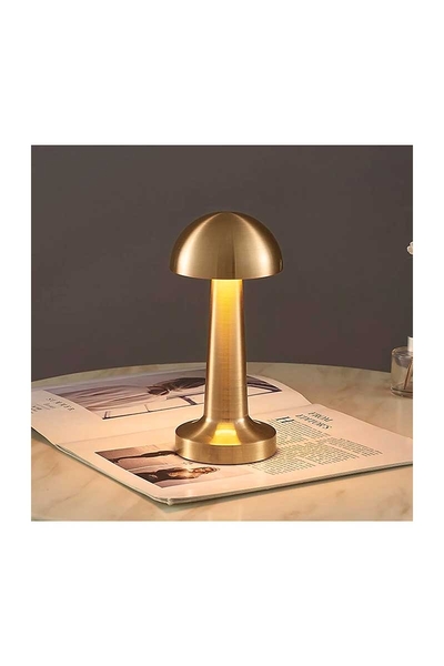 ACK AF11-00296 2W Gold Gövde Ledli Dokunmatik Dimli Masa Lambası - Thumbnail