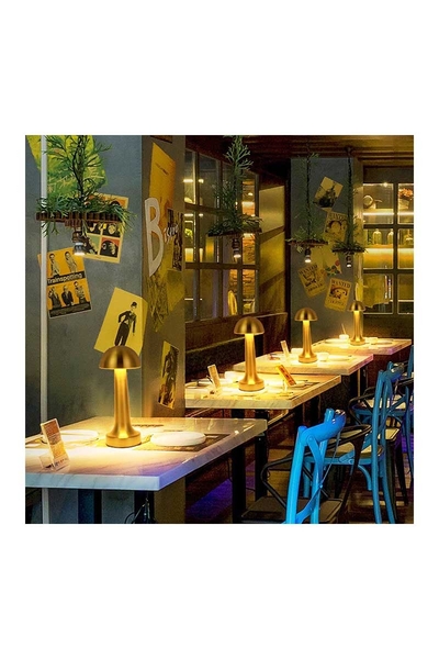 ACK AF11-00296 2W Gold Gövde Ledli Dokunmatik Dimli Masa Lambası - Thumbnail