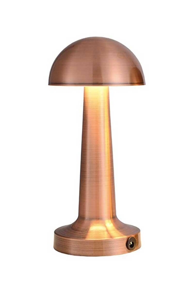 ACK AF11-00297 2W Copper Gövde Ledli Dokunmatik Dimli Masa Lambası - Thumbnail