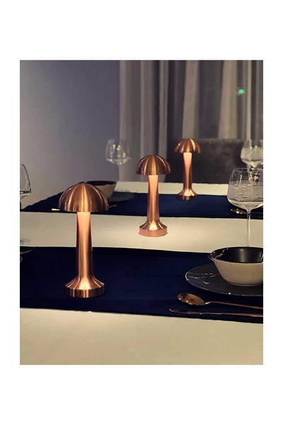 ACK AF11-00297 2W Copper Gövde Ledli Dokunmatik Dimli Masa Lambası - Thumbnail