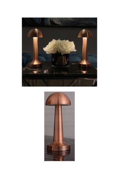 ACK AF11-00297 2W Copper Gövde Ledli Dokunmatik Dimli Masa Lambası - Thumbnail
