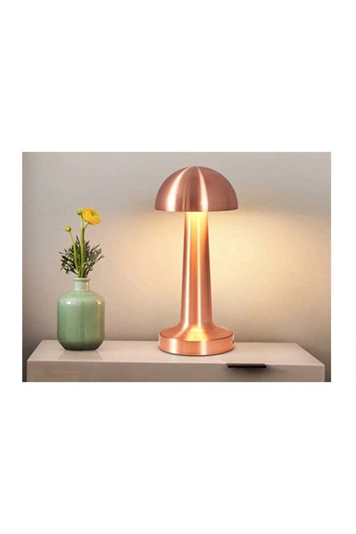 ACK AF11-00297 2W Copper Gövde Ledli Dokunmatik Dimli Masa Lambası - Thumbnail