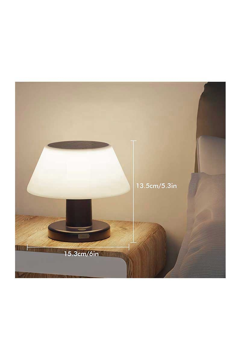 ACK AG60-30801 3000K Günışığı Çift Yönlü Solar Bahçe Armatürü