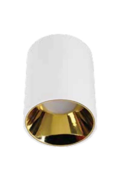 ACK - ACK AH12-08560 Parlak Gold Reflektör Beyaz Kasa Sıva Üstü Dekoratif Armatür