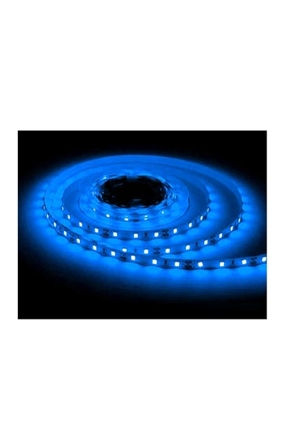 ACK - ACK AS01-02506 10W 12V DC Mavi 120 Led İç Mekan Şerit Led ACK - ACK AS01-02506 10W 12V DC Mavi 120 Led İç Mekan Şerit Led