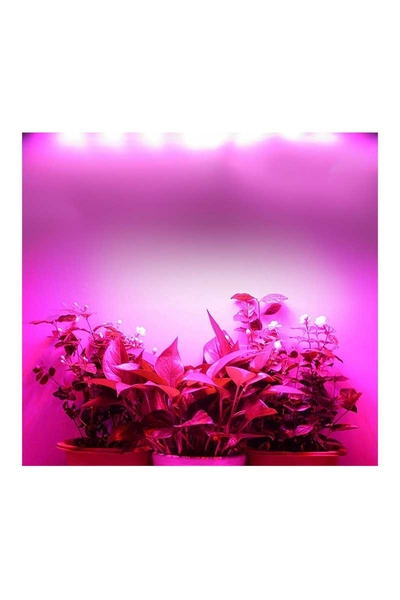 ACK AT21-03600 36W Mor Led Bitki Yetiştirme Armatürü - Thumbnail