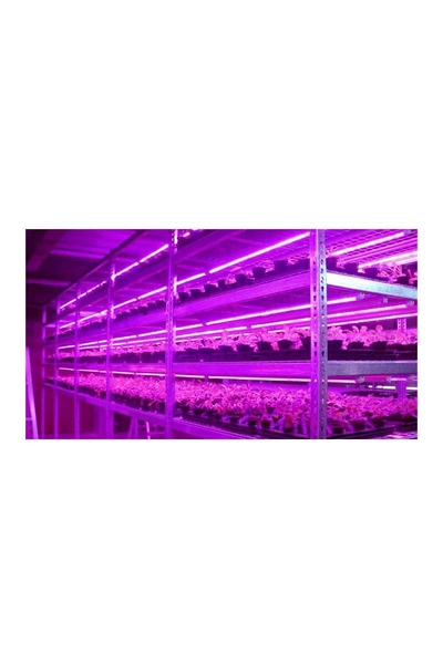 ACK AT21-03600 36W Mor Led Bitki Yetiştirme Armatürü - Thumbnail