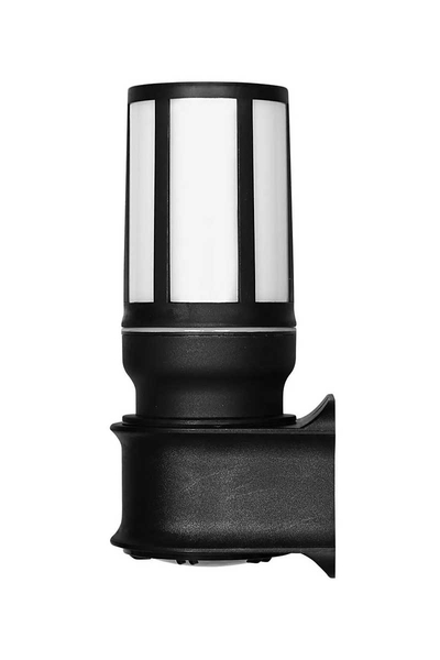 ACK - ACK AG57-04221 E27 Troy Siyah Kasa Bahçe Duvar Apliği