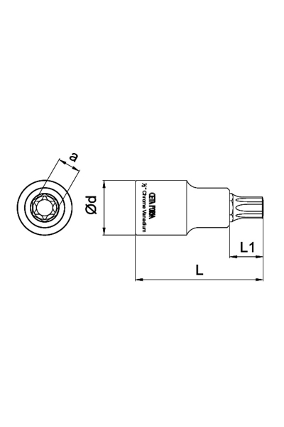 Ceta Form C18S-T27 3/8 inç T27 Torx Uçlu Lokma - Thumbnail