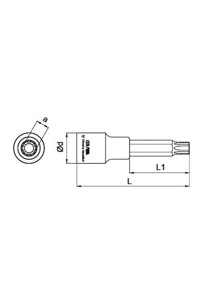 Ceta Form C28S-T30L 1/2 inç T30x100mm Uzun Tip Torx Uçlu Lokma - Thumbnail