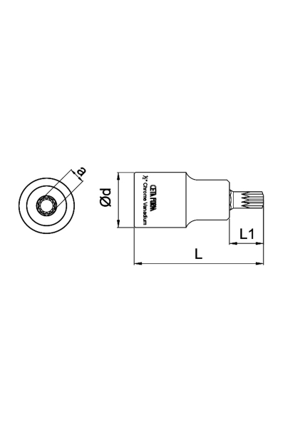 Cetaform - Ceta Form C28S-X12 1/2 inç M12x55mm XZN Uçlu Kısa Tip Lokma Ceta Form C28S-X12 1/2 inç M12x55mm XZN Uçlu Kısa Tip Lokma - Thumbnail