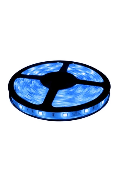 Global - Global K2 KCL002 3528 Mavi Tek Çipli 60 Ledli Silikonlu Dış Mekan Şerit Led Global - Global K2 KCL002 3528 Mavi Tek Çipli 60 Ledli Silikonlu Dış Mekan Şerit Led
