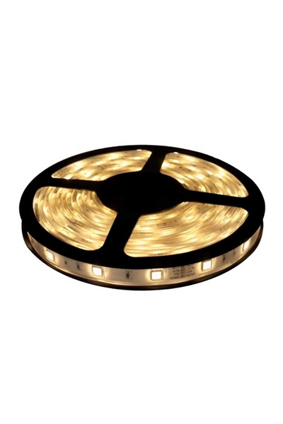 Global - Global K2 KCL004 3528 Günışığı Tek Çipli 60 Ledli Silikonsuz İç Mekan Şerit Led Global - Global K2 KCL004 3528 Günışığı Tek Çipli 60 Ledli Silikonsuz İç Mekan Şerit Led