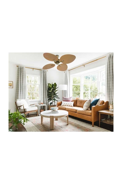 Kaşkar Taflan Umut T52040 60W 132cm Pleksi Krem 4 Kanatlı İpli Tavan Vantilatörü - Thumbnail