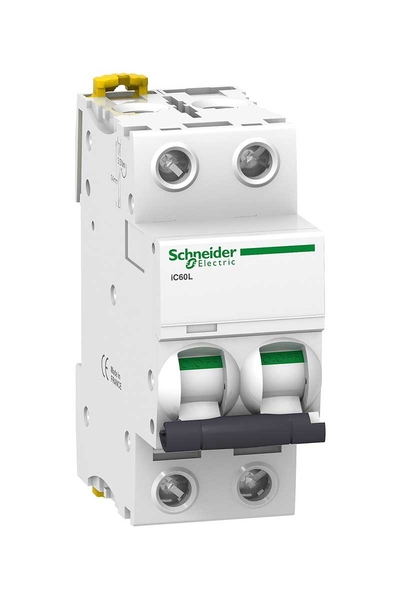 Schneider A9F93202 İC60L 2P 2A B Tipi Minyatür Otomatik Sigorta
