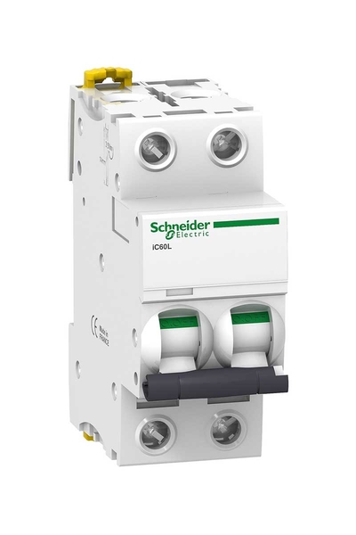 Schneider A9F94202 İC60L 2P 2A C Tipi Minyatür Otomatik Sigorta