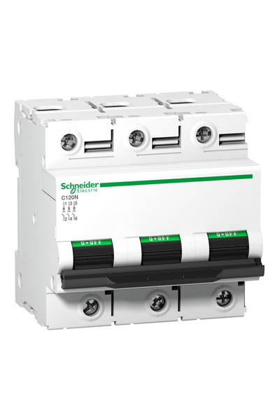 Schneider A9N18387 C120N 3P 80A D Tipi Otomatik Sigorta