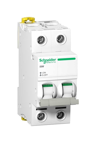 Schneider A9S65291 240V 2P 100A Yük Ayırıcı