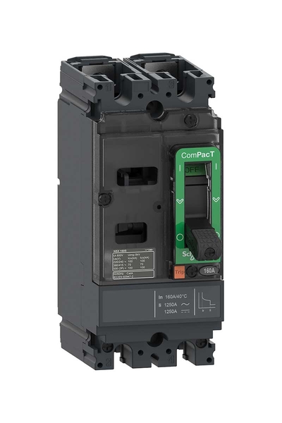 Schneider C10F2TM030 NSX100F 18kA 2P 30A Kompakt Şalter
