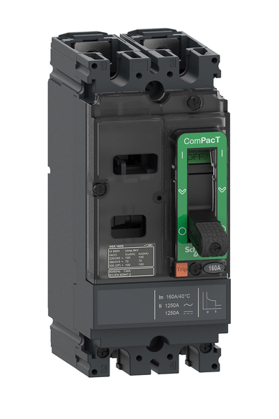 Schneider C10F2TM100 NSX100F 18kA 2P 100A Kompakt Şalter