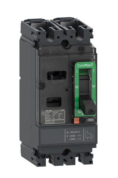 Schneider C10M2TM040 NSX100M 25kA 2P 40A Kompakt Şalter