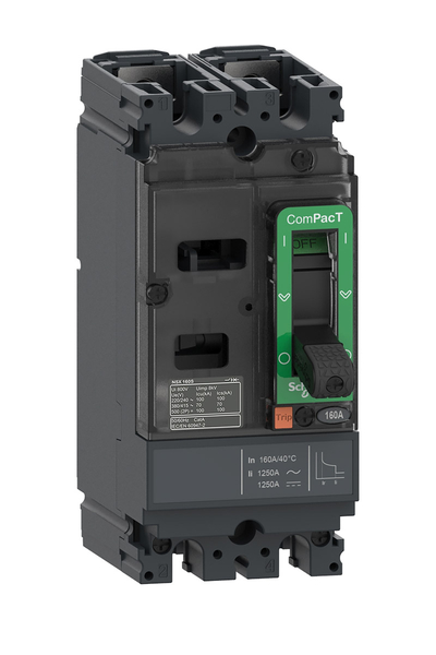 Schneider C16F2TM125 NSX160F 18kA Ac-Dc 2P 125A Tmd Kompakt Şalter