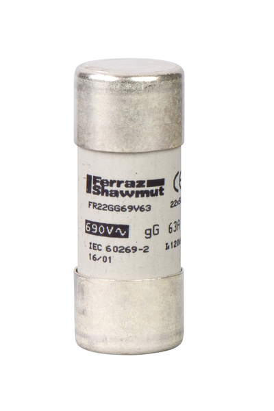 Schneider DF2FN100 Tesys22x58mm aM 100A Sigorta Kartuşu - Thumbnail
