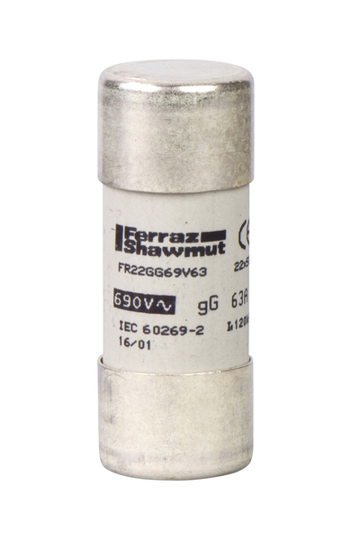 Schneider DF2FN80 Tesys22x58mm aM 80A Göstergesiz Sigorta Kartuşu Schneider DF2FN80 Tesys22x58mm aM 80A Göstergesiz Sigorta Kartuşu