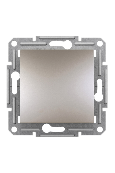 Schneider Electric - Schneider EPH0200369 Asfora Çift Kutuplu Vida Bağlantılı Bronz Anahtar