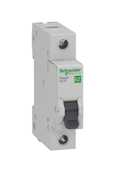 Schneider EZ9F43106 EASY9 Serisi C Tipi 1x6A Otomatik Sigorta - Thumbnail