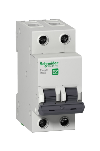 Schneider EZ9F43206 EASY9 Serisi C Tipi 2x6A Otomatik Sigorta