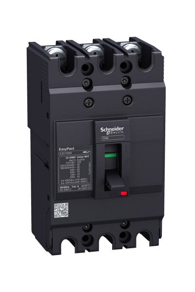 Schneider EZC100H3060 60A EASYPACT Serisi Kompakt Şalter