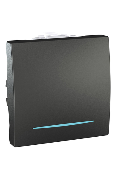 Schneider Electric - Schneider MGU3.205.12N Unica 250V AC 10A 2 Modül Grafit Işıklı Permütatör