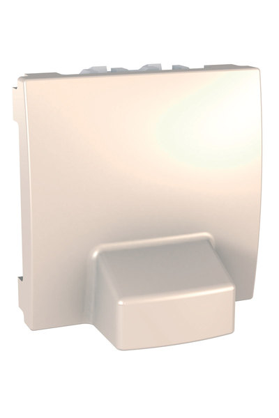 Schneider Electric - Schneider MGU3.862.25 Unica 2 Modül Fildişi Kablo Çıkışı