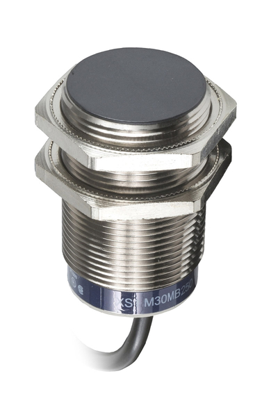 Telemecanique Sensors XS1M30MB250 XS1 M30 24-240VAC/DC U60MM-SN10MM 2m Kablolu Pirinç Endüktif Sensör - Thumbnail