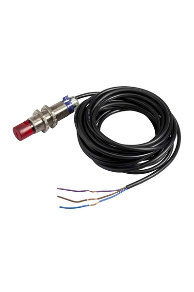 Telemecanique Sensors XUB2APAWL2R 12-24VDC 2m Kablolu Fotoelektrik Sensör