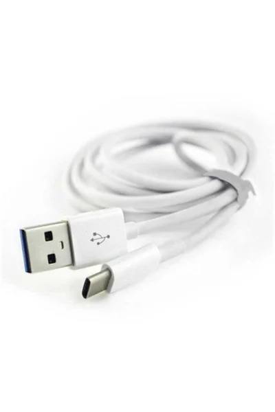 Teknogreen - Teknogreen TKU-C31 1m USB to Tip C 3.1 Kablo