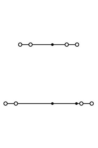 Wago 2002-2401 50 Adet Gri 2.5-4mm2 L/L 2 Katlı 4 İletkenli Ray Klemens - Thumbnail