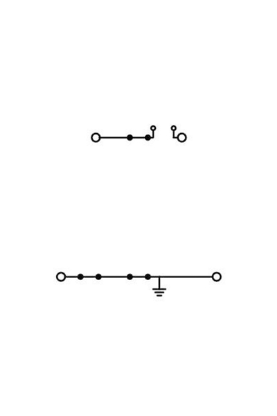 Wago 2002-2667 50 Adet 2.5-4mm2 Gri PE/L 2 Katlı Üst Taşıyıcı Klemens - Thumbnail