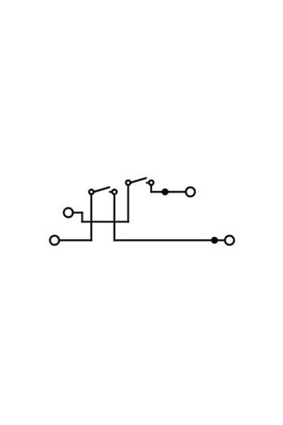 Wago 2002-2952 50 Adet 2.5-4mm2 Gri N/L Test Yuvalı Ayırma Ölçme Klemensi - Thumbnail