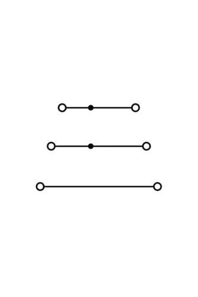 Wago 2002-4101 25 Adet 2.5-4mm2 L1 L2 L3 Motor Klemensi - Thumbnail