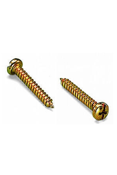 Wago 209-196 25 Adet Yedek Sabitleme Vidası